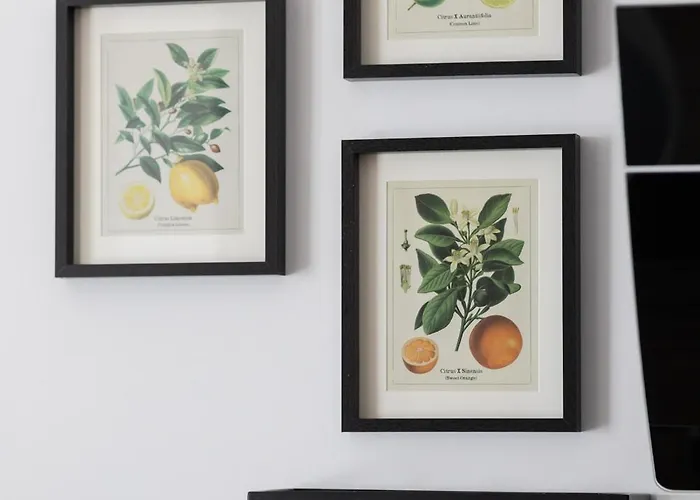 Sarmacka 27 2 - Medicover/paley